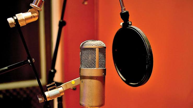 Why Hiring a Professional Voiceover Artist is the Best for You